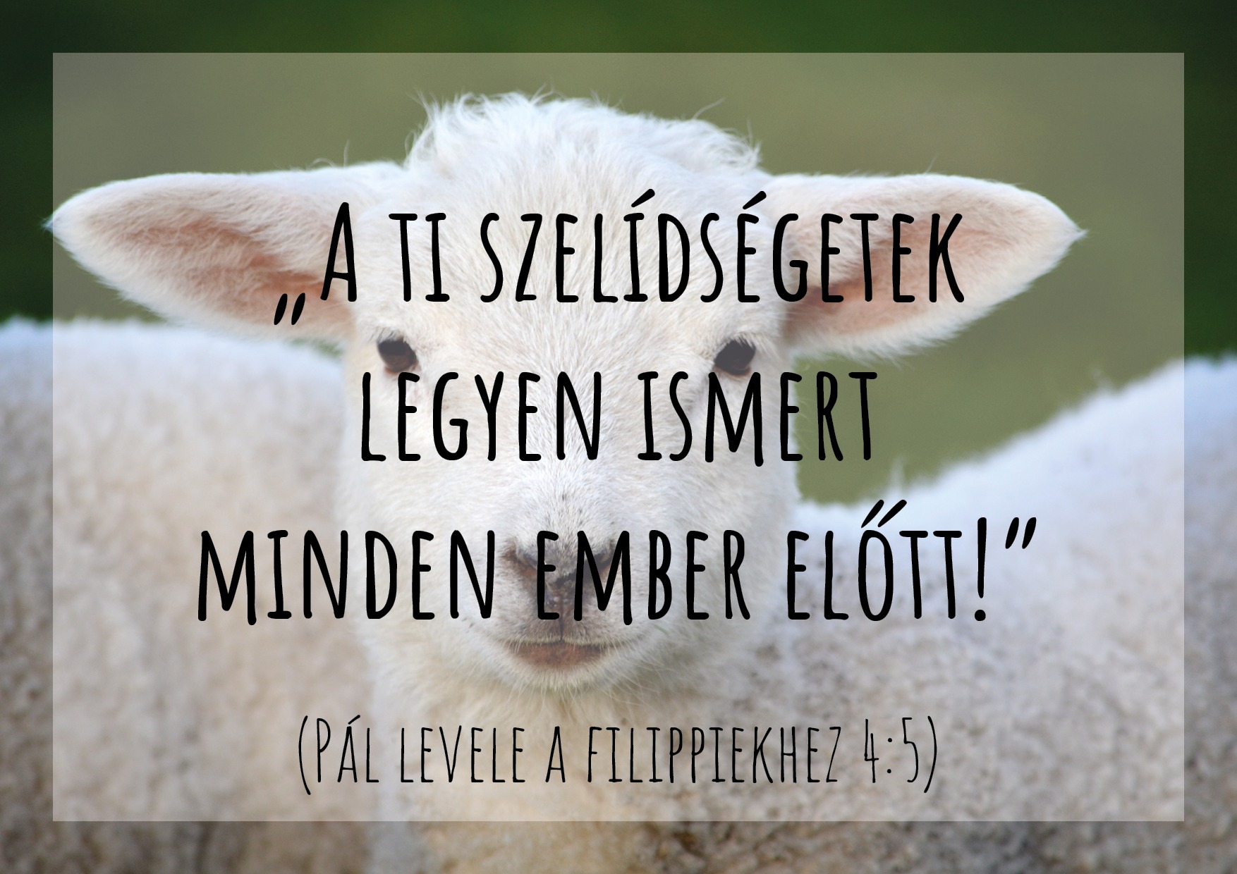 Krisztusi szelídség